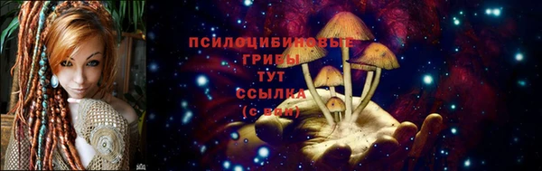 МДМА Анива