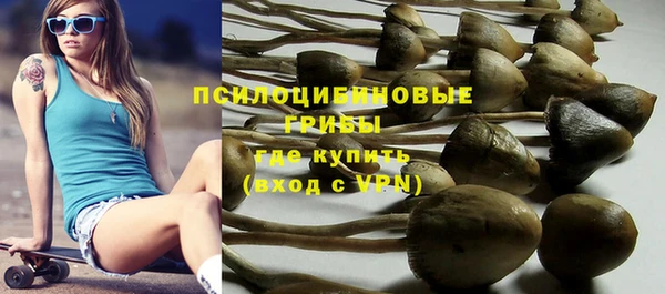 альфа пвп Анжеро-Судженск