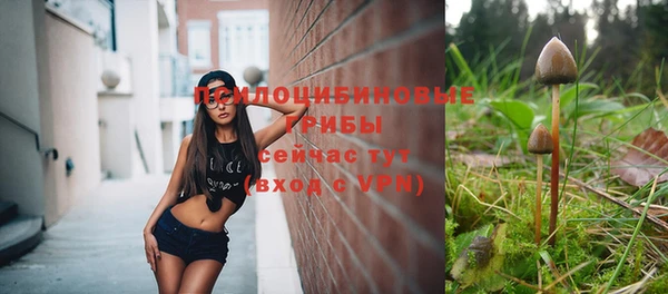 МДМА Анива