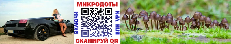 Псилоцибиновые грибы ЛСД  Купить где  Лесозаводск 