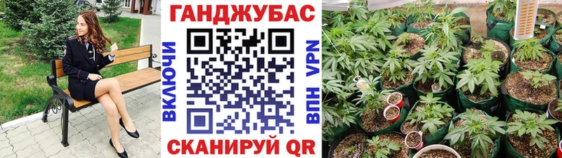 Купить закладки  Лесозаводск  Канабис тримм 